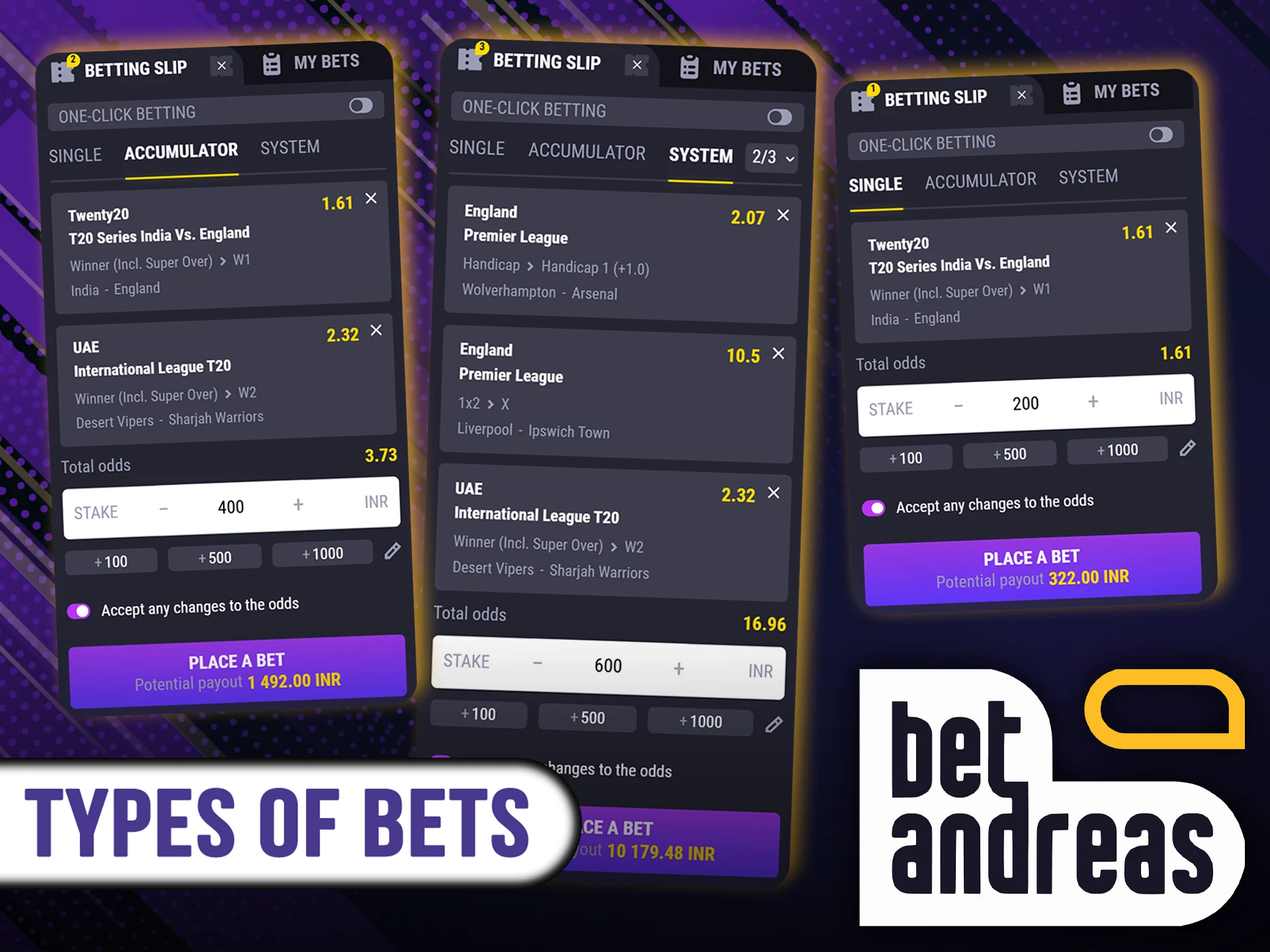 Explore the types of bets that can be placed at BetAndreas.